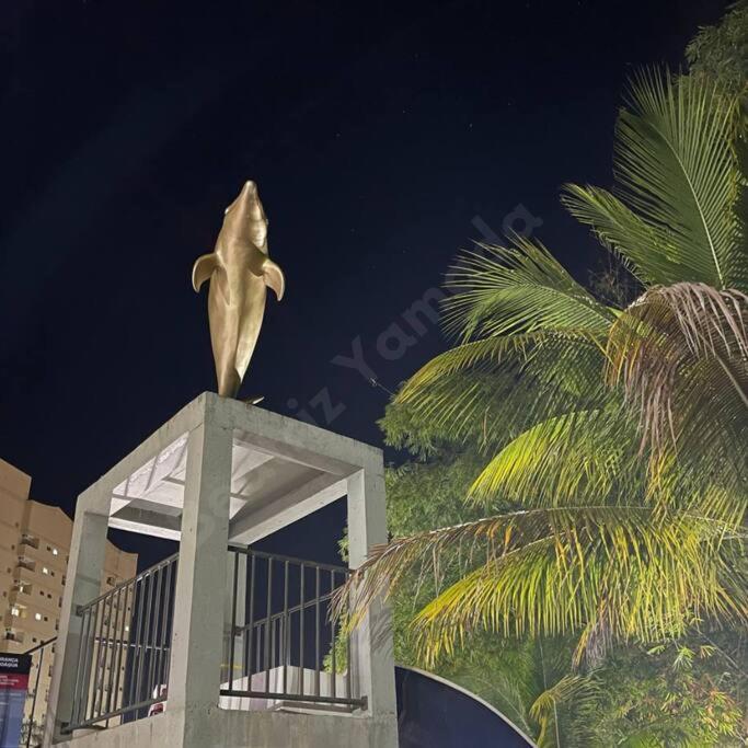 Golden Dolphin Grand - Pool Apartment