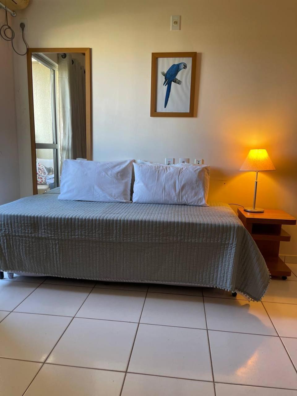 Apartment Golden Dolphin Grand - Pool